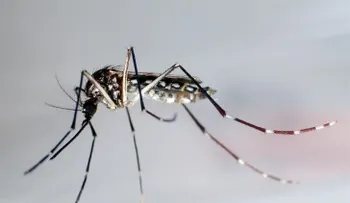 Brasil presenta un test que diagnostica el virus del Zika en 20 minutos