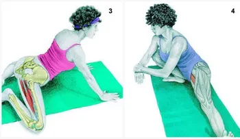 34 imágenes que muestran estiramientos musculares
