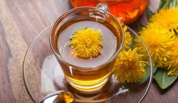 5 infusiones para depurar el organismo
