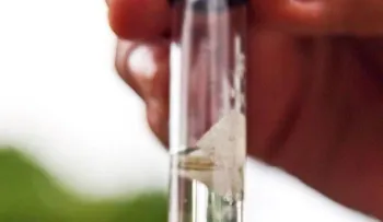 Sanofi Pasteur comenzó hoy a vacunar contra el dengue en Filipinas