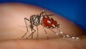 Salud Pública inicia campaña contra el dengue en La Vega