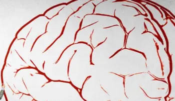 5 principios de psicología que cambiarán la forma de ver la vida