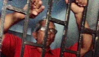 Liberan ganadero dominicano detenido en Haití 