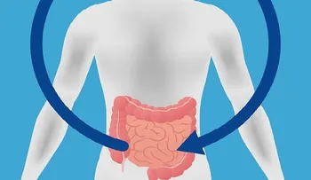 Los problemas intestinales pueden ser causados por el estrés