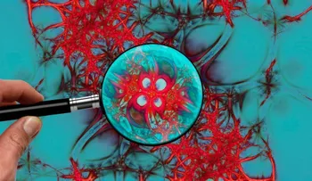 Descubren vías contra cáncer del sistema nervioso agresivo en niños y adultos