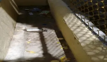 Policía detiene adolescente lanzó bomba lacrimógena a escuela en Barahona