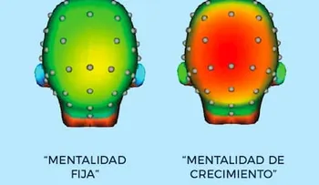 La felicidad no siempre depende de tenerlo todo