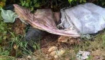 Comerciante tirotea a joven que intentó asaltarlo en Santiago 