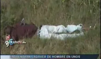 Hallan otro muerto en cañaveral de San Cristóbal