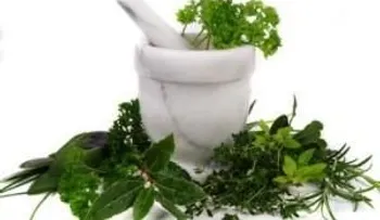 Plantas que dan fuerza para la fatiga