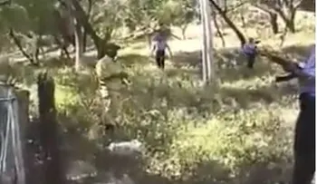 La Gallera 24/7; mira lo que pasa.... (VIDEO)