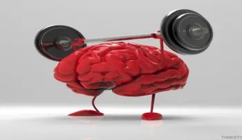 ¿Queman más calorías los cerebros con coeficiente intelectual más alto?