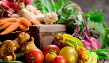La forma de alimentarnos determina la salud a lo largo de la vida