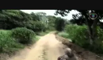 Que miedo tengo...Monstruos y fantasmas reales (VIDEO)