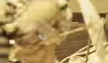 2da parte: No podrá evitar las lágrimas al ver esta historia (Video) 
