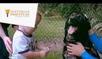 La niñera abusaba del bebé de ocho meses y el fiel perro hizo esto
