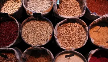 Cinco alimentos negros te harán lucir más joven