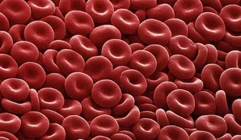 Anticuerpo previene trombosis sin riesgo de hemorragias