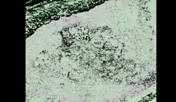 Divisan desde el espacio un asentamiento vikingo en Norteamérica