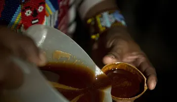 La planta psicodélica ayahuasca o yagé funciona contra la depresión severa, según un estudio