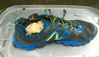 Intriga por la aparición de pies mutilados en las costas de varios pueblos