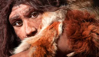 Neandertales arquitectos: gran hallazgo prehistórico
