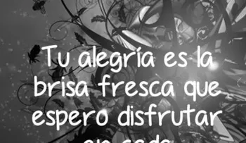 Frases de buenas noches para enamorar 