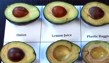 Video: Mis aguacates nunca más se han puesto marrones