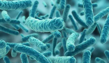 Encuentran un vínculo entre bacterias intestinales y la depresión