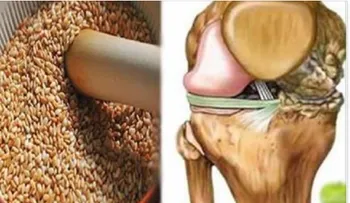 Tratamiento natural para curar tus articulaciones y fortalecer tus huesos