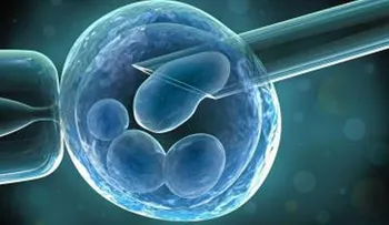 Logran convertir piel humana en células madre