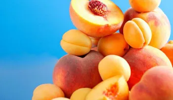 9 alimentos que podrían matarte