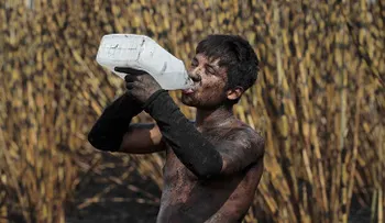 Una letal enfermedad que azota Centroamérica podría estar relacionada con el cambio climático