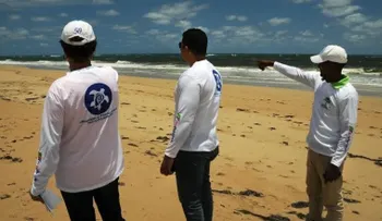 Técnicos supervisan los primeros anidamientos de tortugas de la temporada