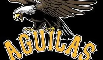 El bajo desempeño de las Aguilas y dónde buscar sus culpables