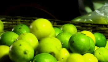 Según la ciencia, comer limones te hace más fuerte