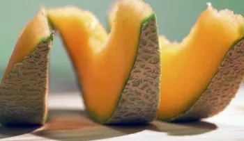 Fibra, minerales... ¿Qué beneficios tiene el melón?