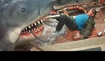 Un tiburón se come a un hombre (VIDEO)