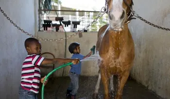 En Haití, usan caballos para terapia de niños con discapacidad