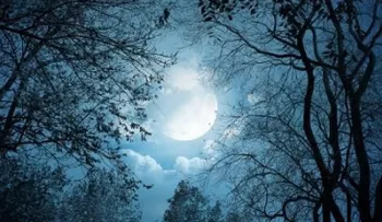5 formas en que la luna afecta tu salud
