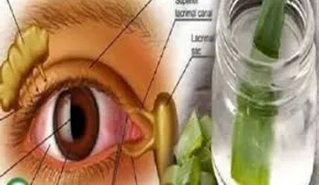Cómo mejorar la visión con esta planta: Así de fácil