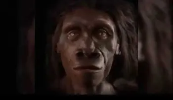 6 millones de años en un minuto: cómo ha evolucionado el rostro humano