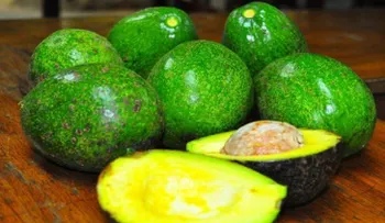 Alimentos que te ayudarán a prevenir un infarto cerebral