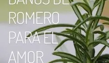 Ritual con romero para el amor y la belleza