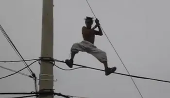 Baila en cables eléctricos (Video)
