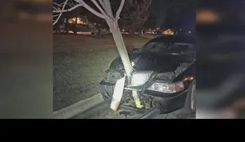 Mujer borracha choca un árbol y sigue como si nada  (VIDEO)