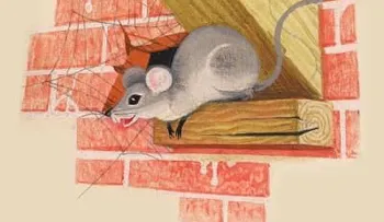 7 formas de alejar las ratas de tu hogar