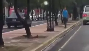 Reportan a otro vehículo sobre â??Circuito Bici Santo Domingoâ?
