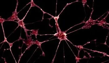 Anuncian nuevo invento (un led implantable) para aliviar el dolor