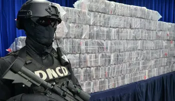 Incautan 390 paquetes de droga en contenedor de empresa exportadora